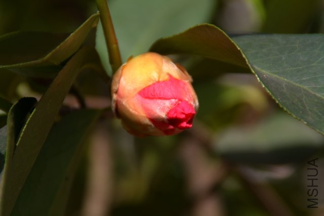 2011.04.19.�軨 014.jpg