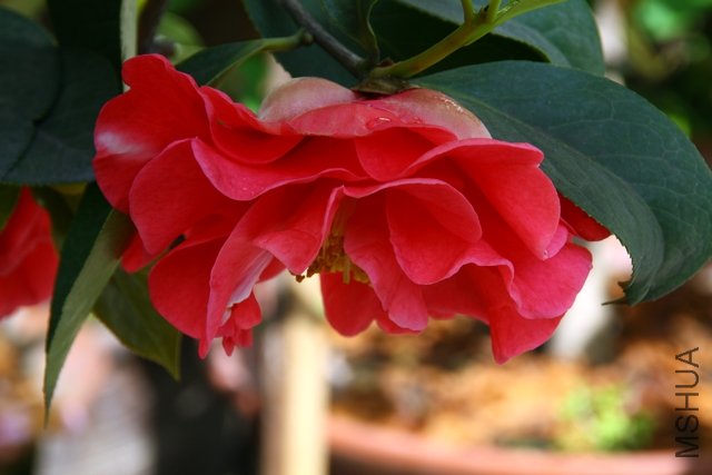 2011.04.19.�軨 029.jpg