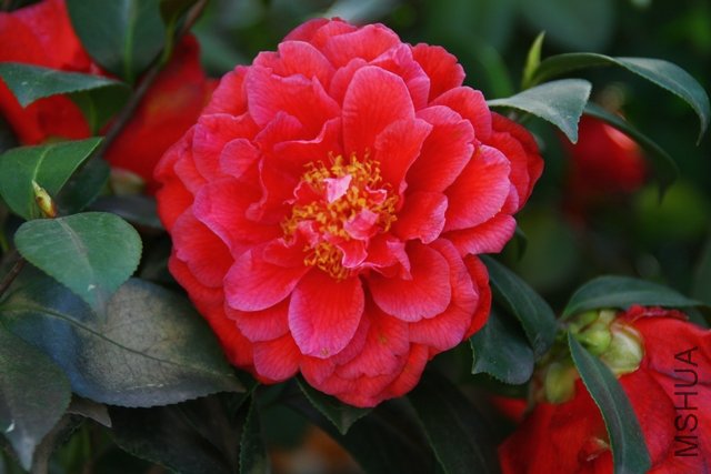 2011.04.19.�軨 063.jpg