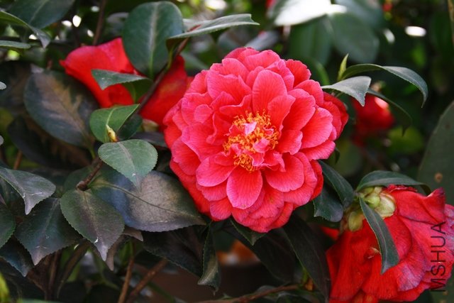 2011.04.19.�軨 066.jpg