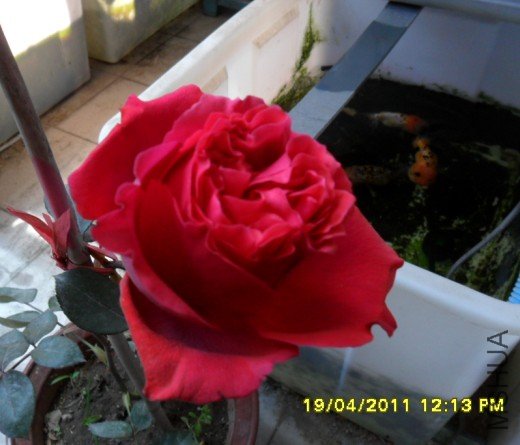 @6J22%%B[29]5N2AGL.jpg