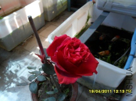 OADWKUMMBDCX6(2{HW`R$PN.jpg