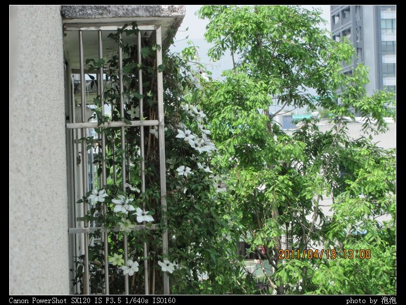 nEO_IMG_IMG_0371.jpg