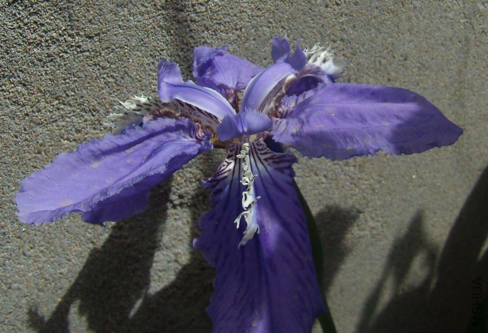 P41800051.jpg
