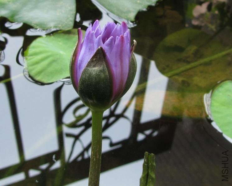 ��һ��˯��