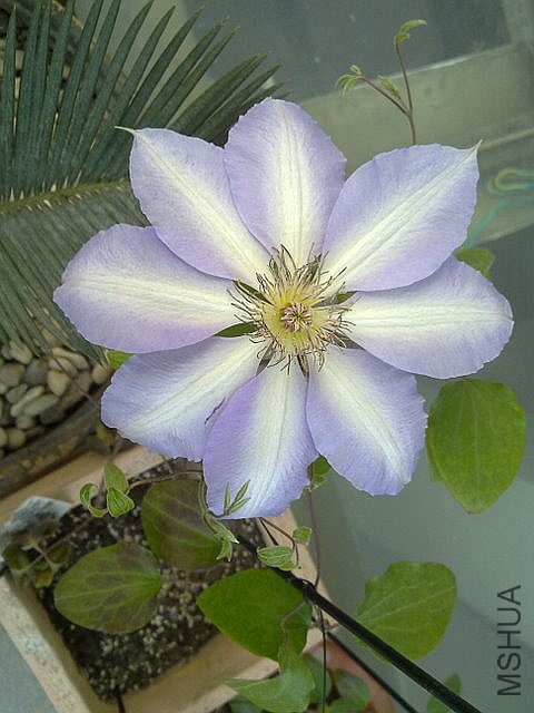 201104121346.jpg