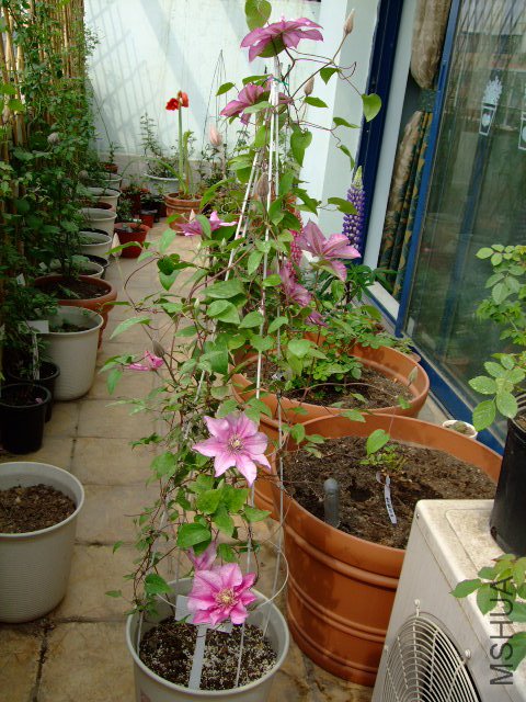 DSCF0127.JPG
