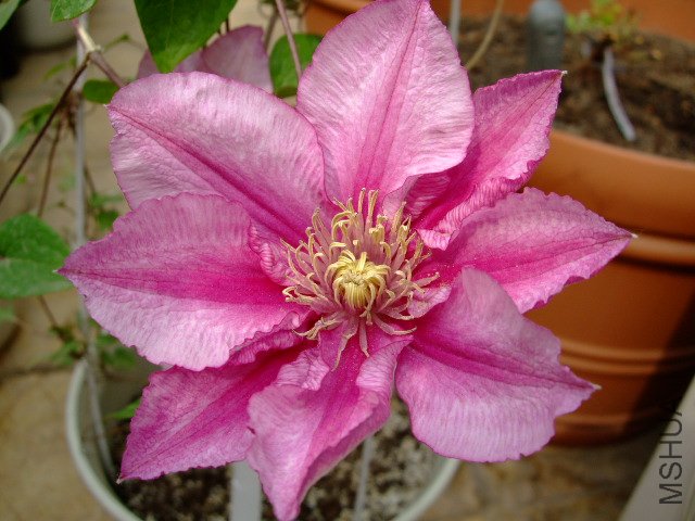 DSCF0125.JPG