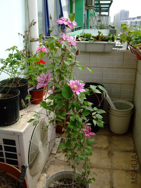 DSCF0128.JPG