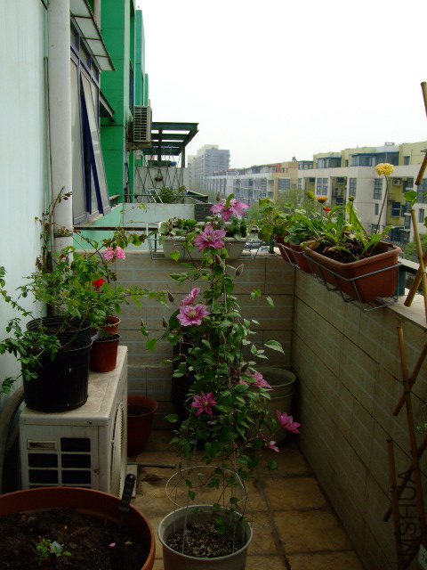 DSCF0149.JPG