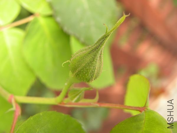 DSCN2297.jpg