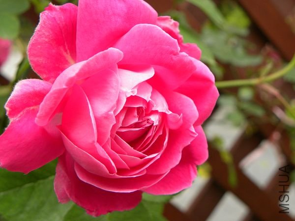 DSCN1013.jpg