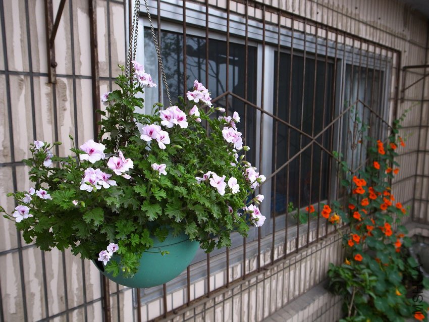R0011270.JPG