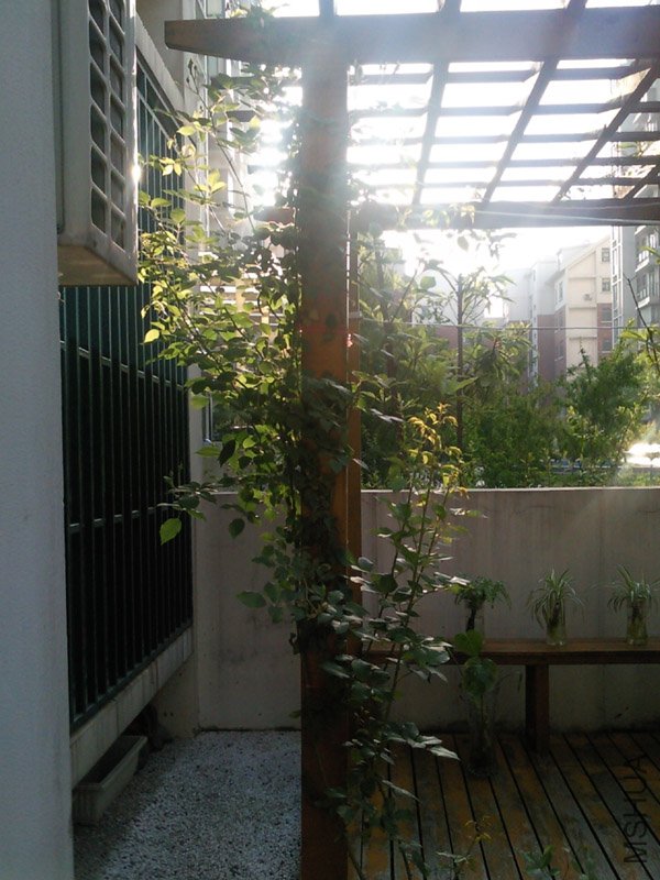 SNC00298+.jpg