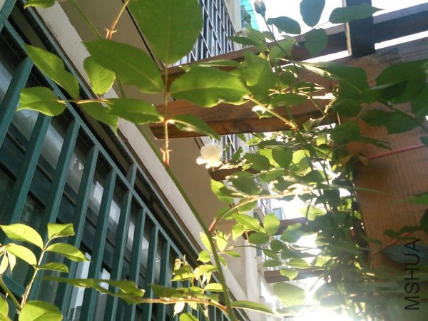 SNC00306+.jpg
