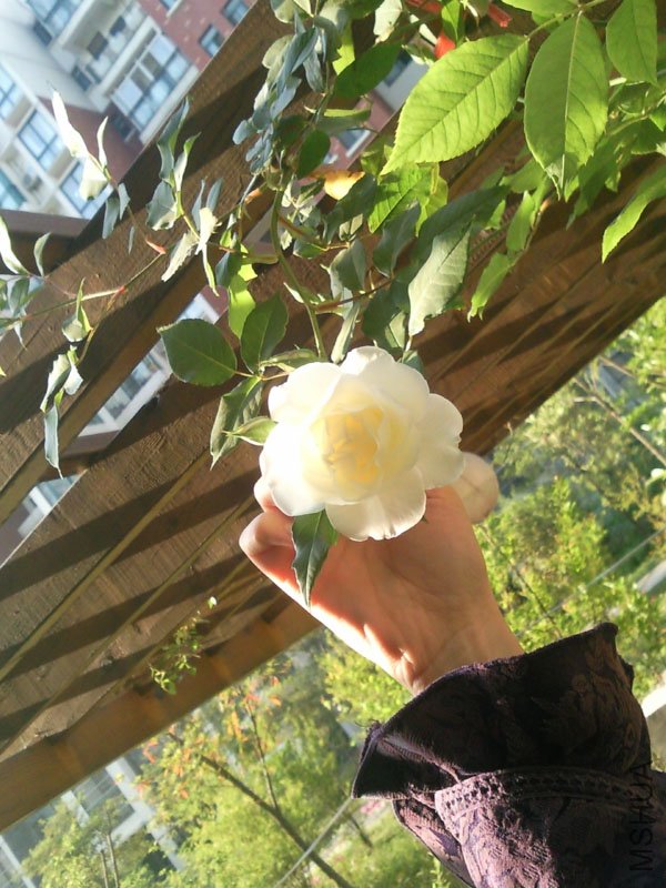 SNC00308+.jpg