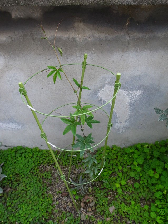 R0011280.JPG