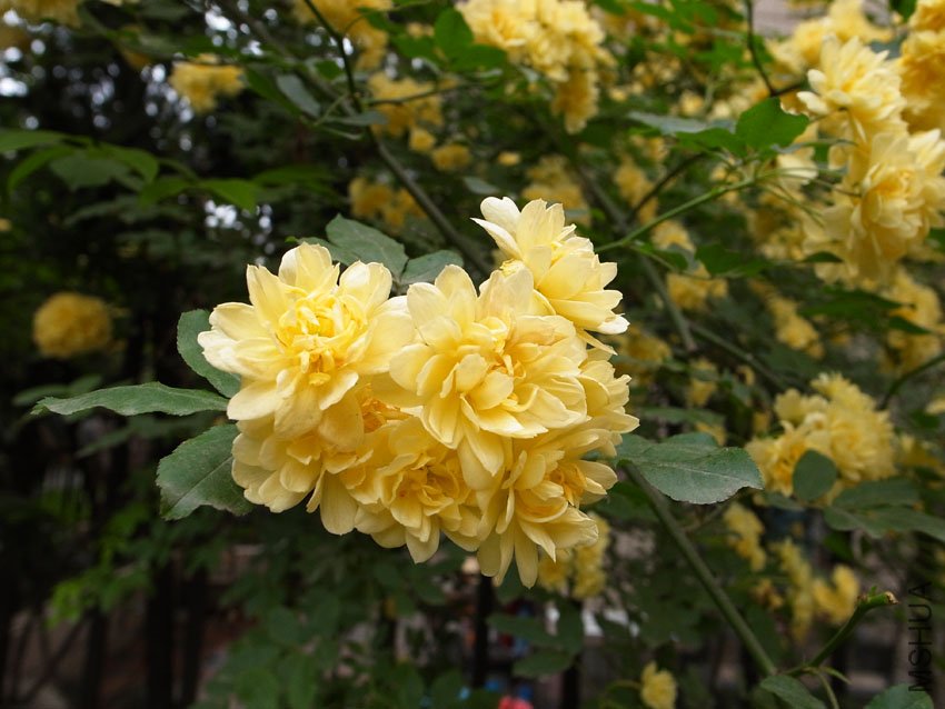 R0011298.JPG