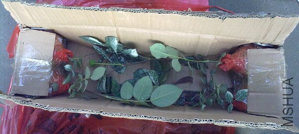 20110420068.jpg