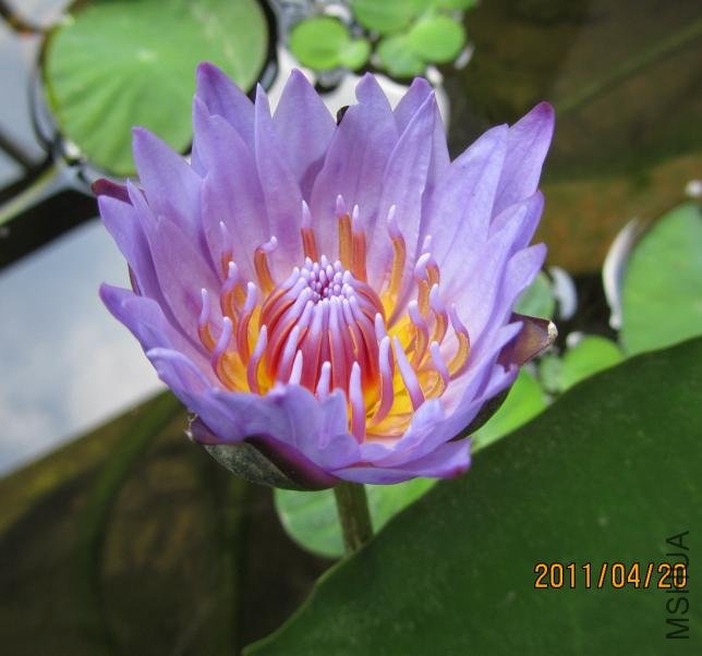 ������ŵ���ģ��