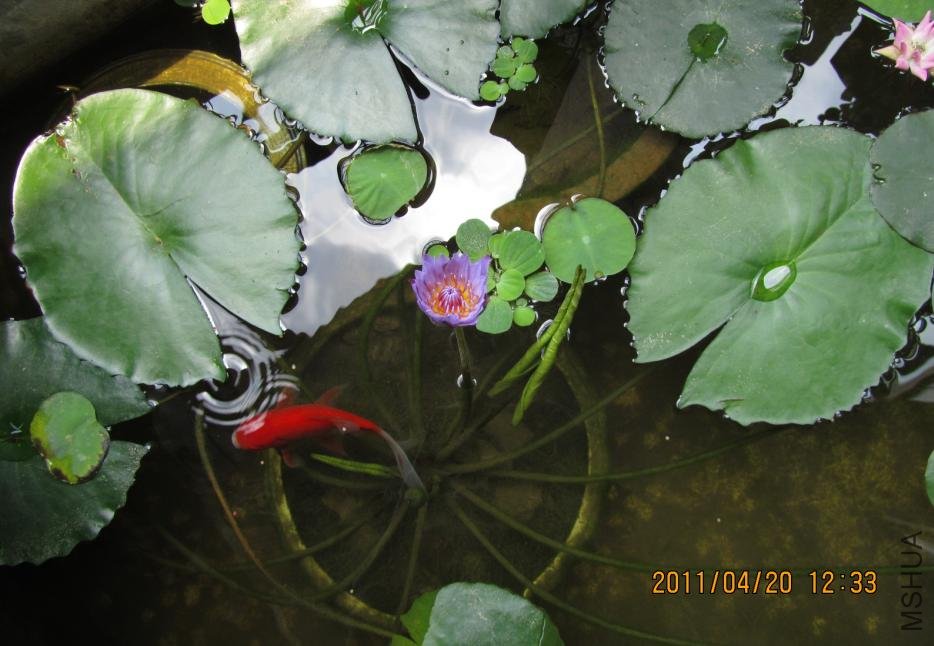 �е��ҵĳ���