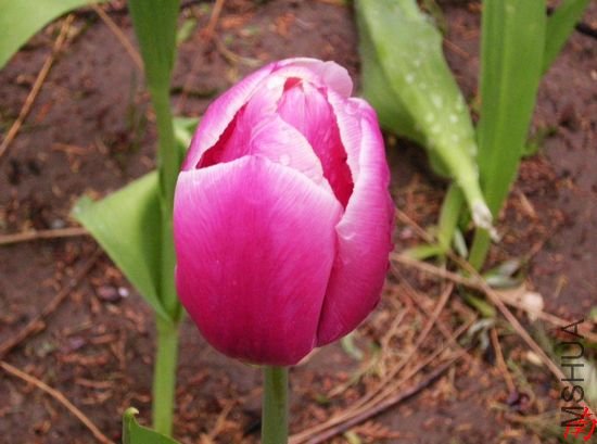 DSCN1250.jpg