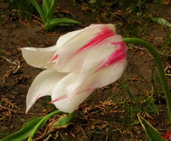 DSCN1273.jpg