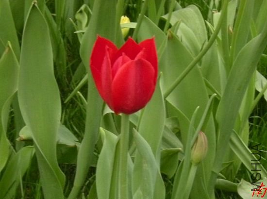 DSCN1329.jpg