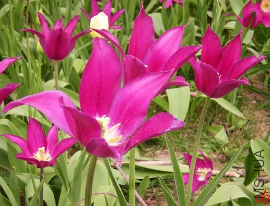 DSCN1333.jpg