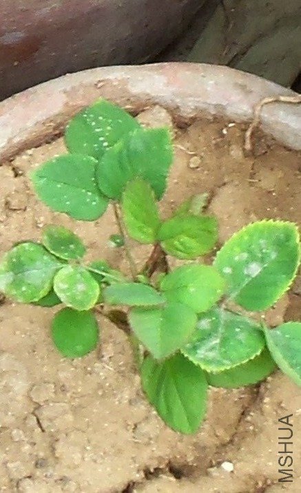 ���͵���