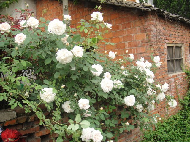 DSC01325.JPG