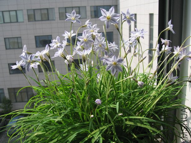 �� 093_��С��С.jpg