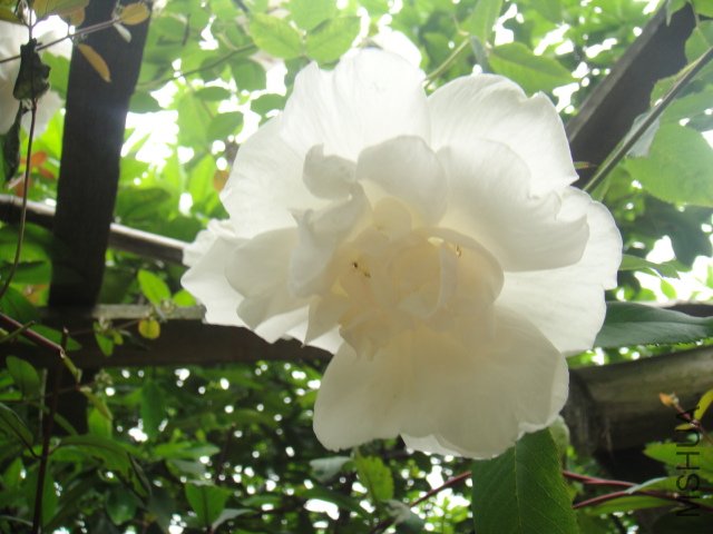 DSC01380.JPG