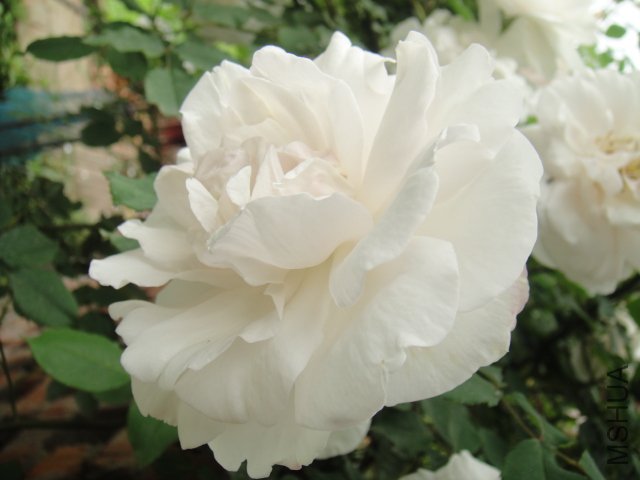 DSC01404.JPG