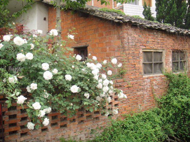 DSC01412.JPG