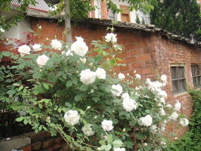 DSC01414.JPG