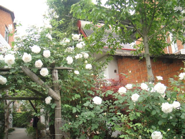 DSC01413.JPG