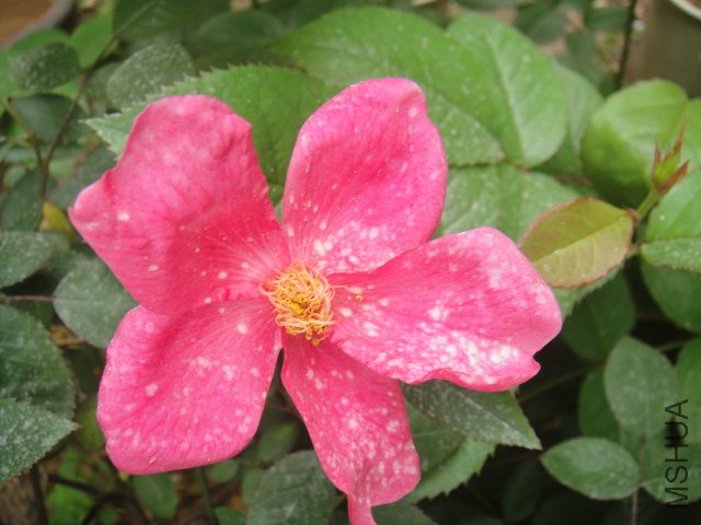 DSC01354.JPG