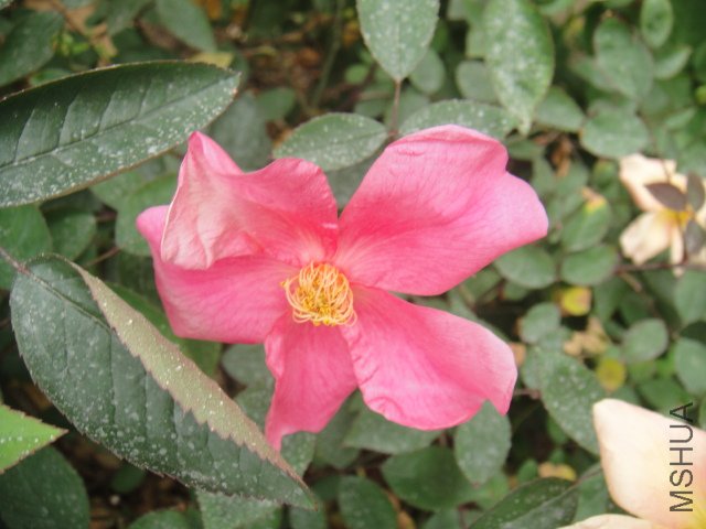 DSC01349.JPG