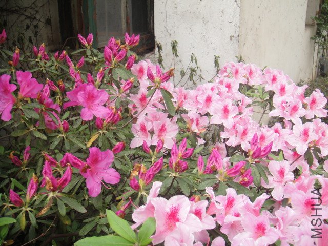 DSC01374.JPG