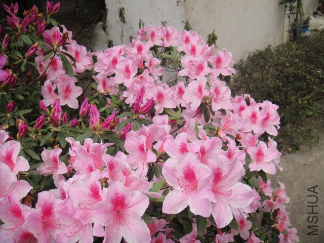 DSC01369.JPG