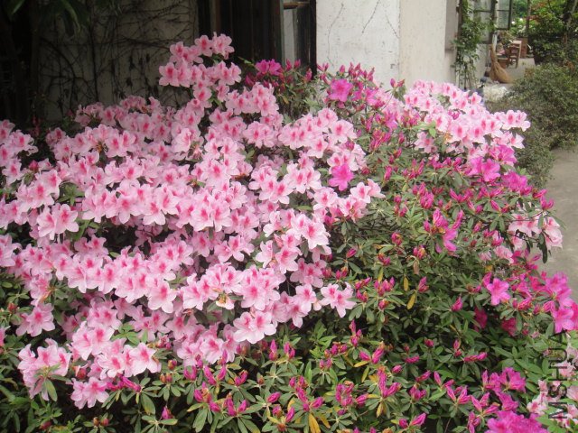DSC01372.JPG