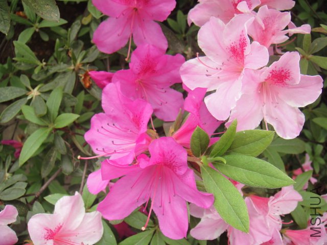 DSC01371.JPG