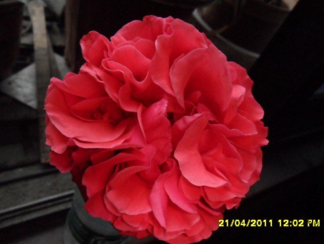 ~KTD[7CR%XHB{N)J%8H233P.jpg