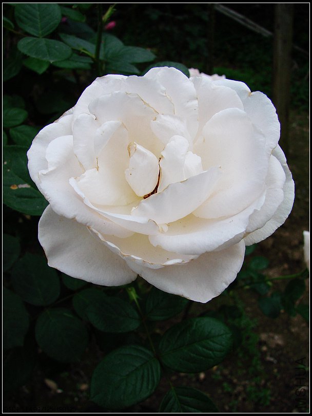 DSC00144.jpg
