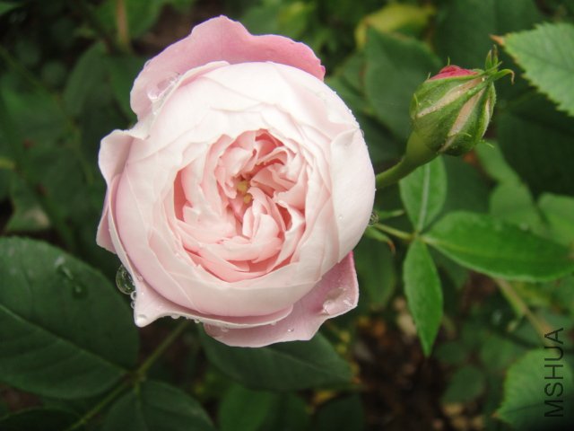 DSC01435.JPG