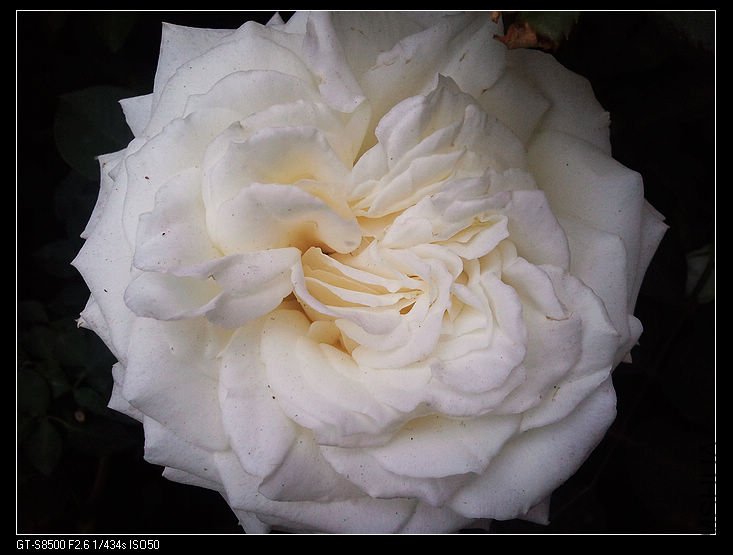 nEO_IMG_��Ƭ0269.jpg
