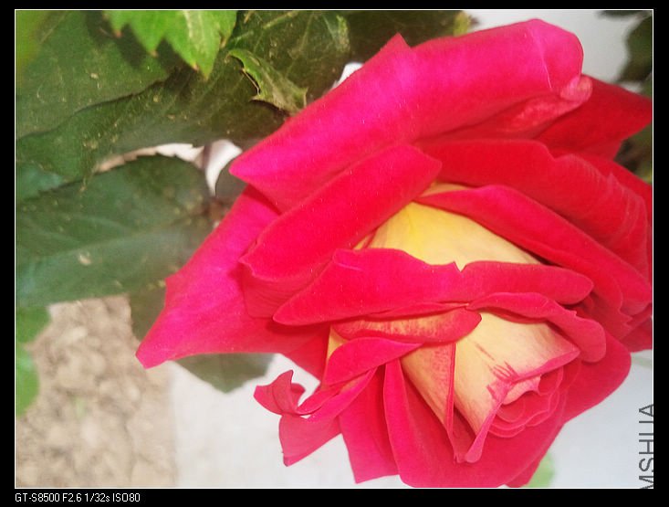 nEO_IMG_��Ƭ0242.jpg