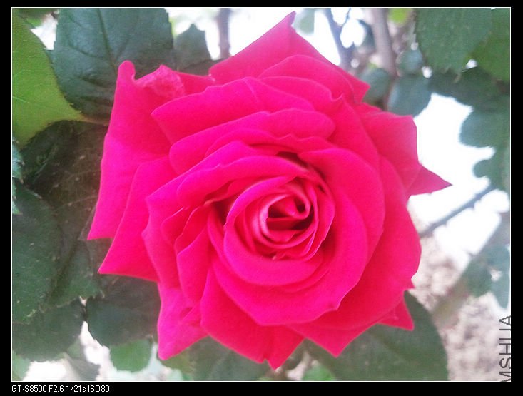 nEO_IMG_��Ƭ0241.jpg