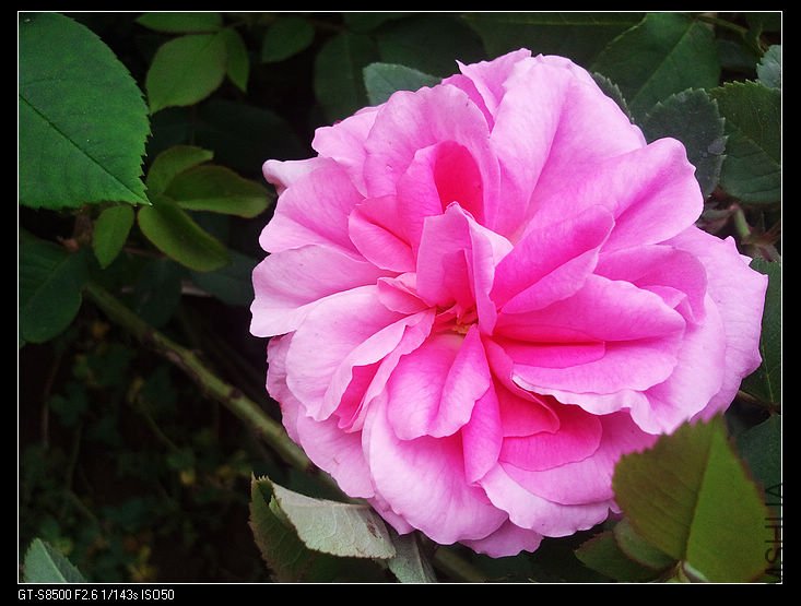 nEO_IMG_��Ƭ0266.jpg
